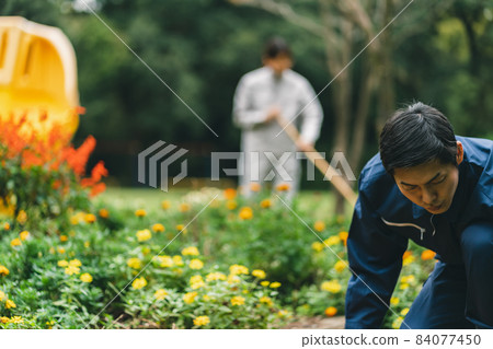 Park management 84077450