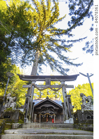 高知縣結原町三島神社 高知縣結原町三島神社 84078361