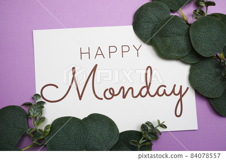 Happy Monday typography text with eucalyptus leaves decoration on purple background 84078557
