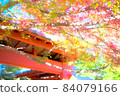 autumn leaves in temple 84079166