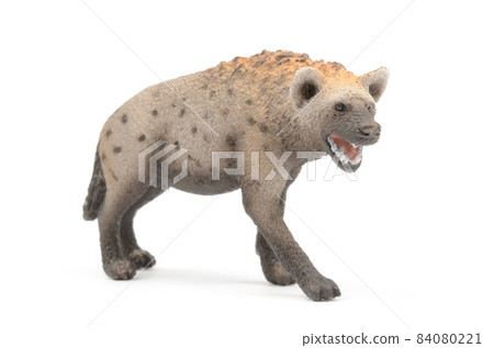 hyena 84080221