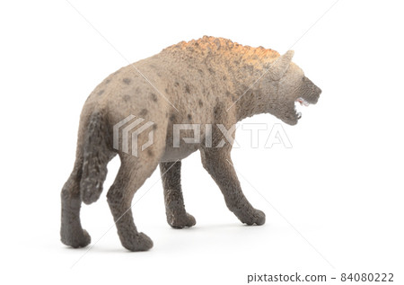 hyena hyena 84080222