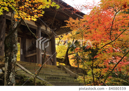 江東三山（天台宗）西明寺/重要文化遺產二天門[滋賀縣高良町] 84080339