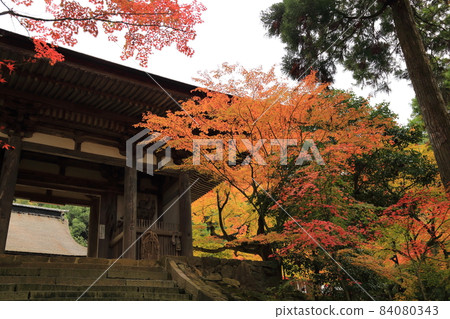 江東三山（天台宗）西明寺/重要文化遺產二天門[滋賀縣高良町] 84080343
