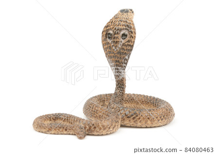 Cobra Cobra 84080463