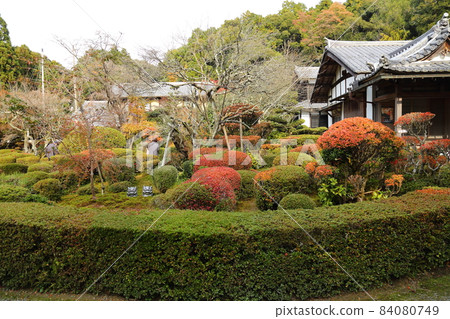 Koto Sanzan (Tendai Sect) Saimyoji / National Scenic Beauty Garden Horai Garden [Kora Town, Shiga Prefecture] 84080749