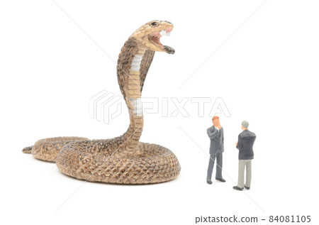  Business image 84081105