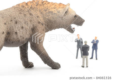 Business image Business image 84081316