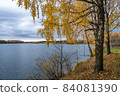 Autumn landscape with a large reservoir and birch trees with yellow leaves. 84081390