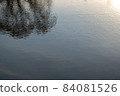 Background with the reflection of blurred trees in the water and with light ripples. 84081526