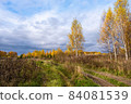 Beautiful autumn landscape with a rural road and trees with yellow leaves. 84081539