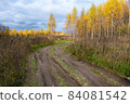 Beautiful autumn landscape with a rural road and trees with yellow leaves. 84081542