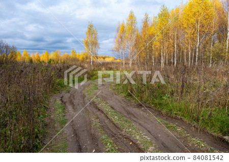 Beautiful autumn landscape with a rural road and trees with yellow leaves. Beautiful autumn landscape with a rural road and trees with yellow leaves. 84081542