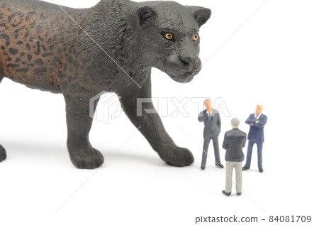  Business image 84081709