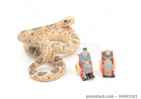 Venomous snakes and the elderly Venomous snakes and the elderly 84083381
