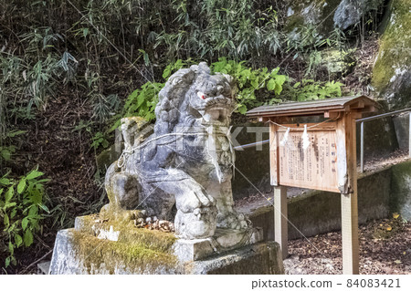 Guardian dog 84083421