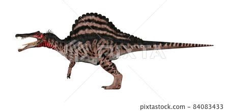 棘龍☆棘龍 84083433