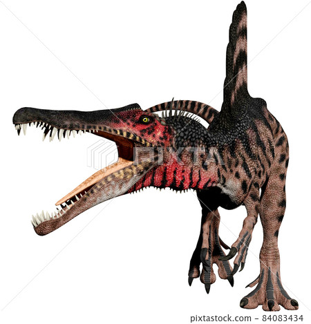 Dino dinosaur - Ecology, Environment & Nature Icons