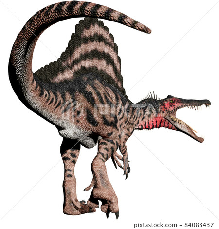 Spinosaurus ☆ Spinosaurus 84083437