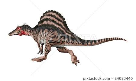 Spinosaurus ☆ Spinosaurus Spinosaurus ☆ Spinosaurus 84083440