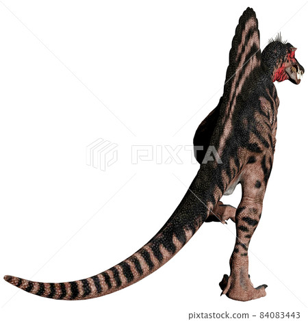 Spinosaurus ☆ Spinosaurus Spinosaurus ☆ Spinosaurus 84083443