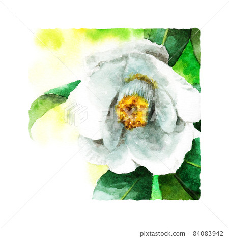 New Year's card material Lucky winter plant Square icon Shiratama camellia New Year's card material Lucky winter plant Square icon Shiratama camellia 84083942