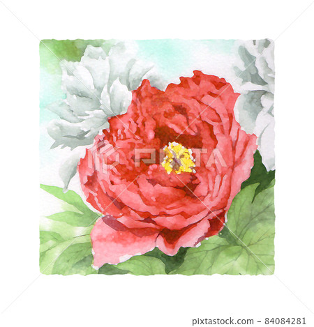New Year's card material lucky charm winter plant square icon red peony New Year's card material lucky charm winter plant square icon red peony 84084281