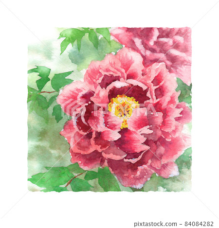 New Year's card material lucky charm winter plant square icon peony New Year's card material lucky charm winter plant square icon peony 84084282