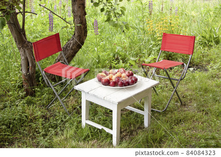 White small table, red folding chairs made of fabric on the grass. Fruit plate - plums, apples, apricots. Summer relaxation in the garden. White small table, red folding chairs made of fabric on the grass. Fruit plate - plums, apples, apricots. Summer relaxation in the garden. 84084323