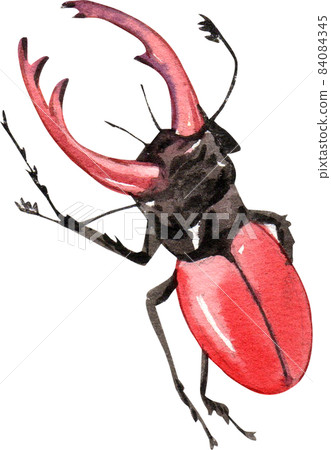Watercolor hand painted cartoon bugs, beetles, insects 84084345