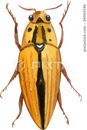 Watercolor hand painted cartoon bugs, beetles, insects Watercolor hand painted cartoon bugs, beetles, insects 84084346