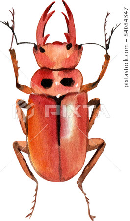 Watercolor hand painted cartoon bugs, beetles, insects Watercolor hand painted cartoon bugs, beetles, insects 84084347