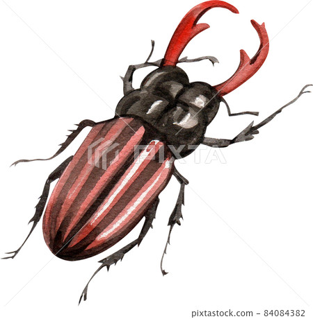 Watercolor hand painted cartoon bugs, beetles, insects 84084382