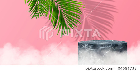 Empty space studio room of Black marble stage with green palm leaves. 84084735