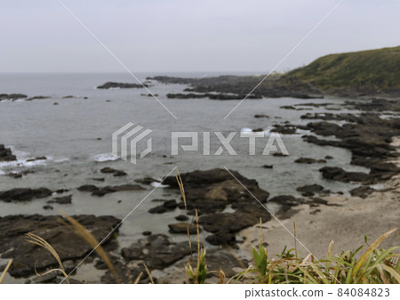 城島的岩石和蒲葦 84084823