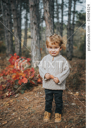 Little boy in the autumn forest. Outdoor activity Little boy in the autumn forest. Outdoor activity 84084824
