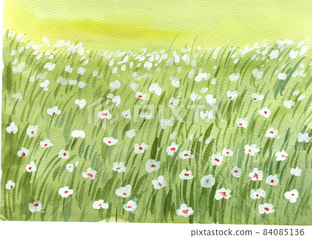 Green grass field watercolor Green grass field watercolor 84085136