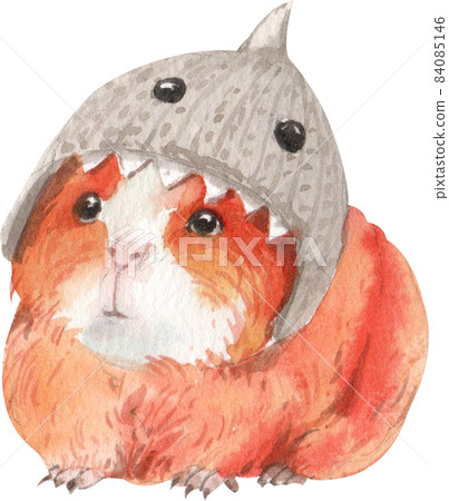 Guinea Pig Watercolor illustration isolated 84085146