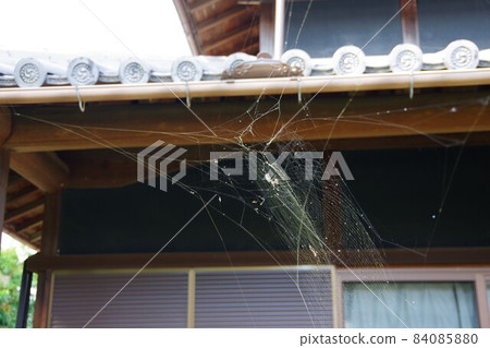 Jiro Spider 84085880