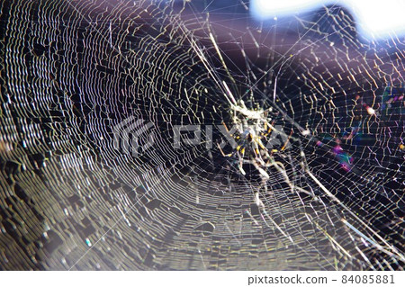 Jiro Spider 84085881