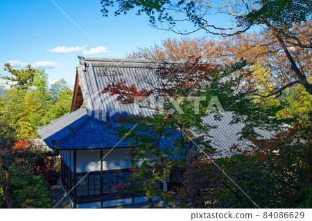 Shobayashiyama Takumaji Grand Auditorium and Autumn Leaves 84086629