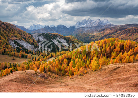 Incredible autumn view at Valfreda valley in Italian Dolomite Alps 84088050