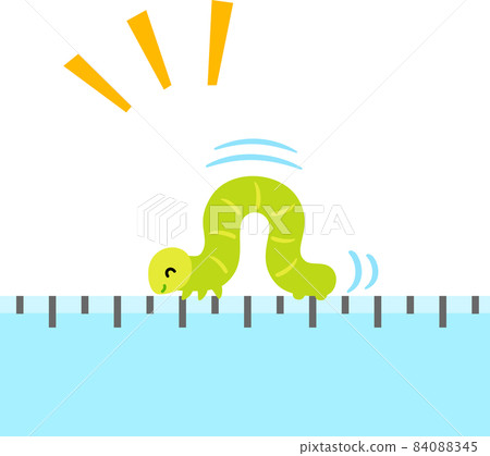 Inchworm walking on a ruler, measurement 84088345