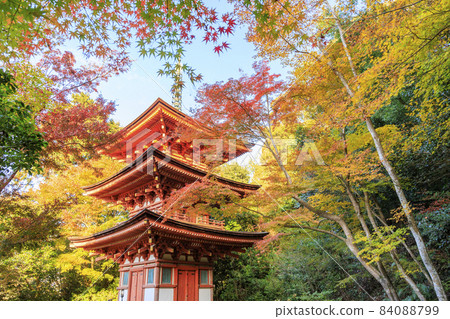 Joruri-ji Temple A garden full of autumn leaves 84088799