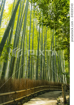 鎌倉Hogokuji竹園 84089540