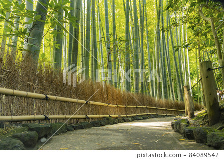 鎌倉Hogokuji竹園 84089542