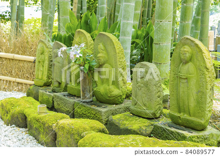 Kamakura Hogokuji Bamboo Garden 84089577