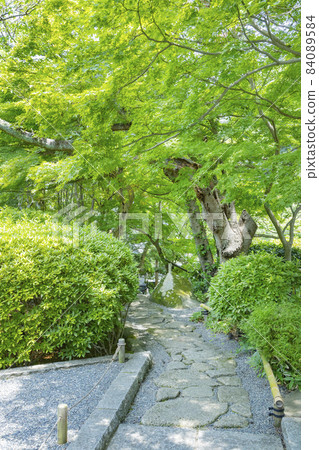 Kamakura Jogokuji 84089584