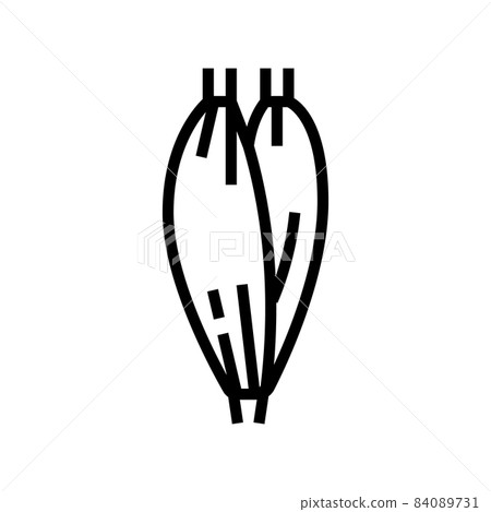 muscle human anatomy line icon vector illustration muscle human anatomy line icon vector illustration 84089731