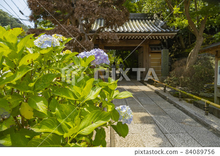 Kamakura Rikunji Tower 84089756
